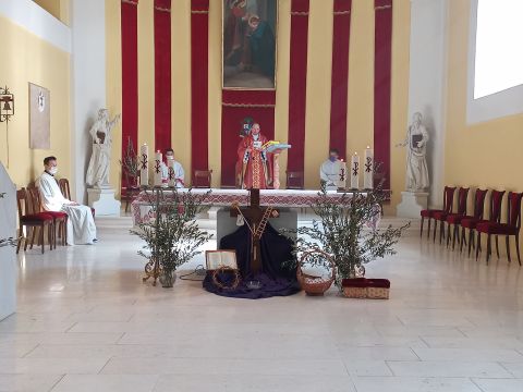 Gospićko-senjska biskupija - CVJETNICA – NEDJELJA MUKE GOSPODNJE U GOSPIĆU