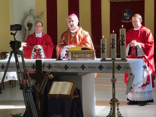 Biskup Križić na Cvjetnicu u gospićkoj Katedrali predvodio svetu misu bez naroda