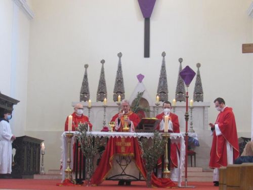 Biskup Križić na Cvjetnicu predvodio procesiju i misu u Senju