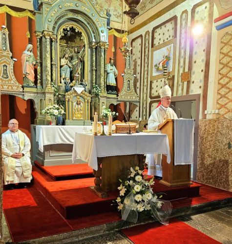 Proslava sv. Ivana Krstitelja u Aleksinici