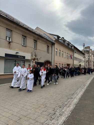 Biskup Medo na Cvjetnicu predvodio misno slavlje u gospićkoj Katedrali