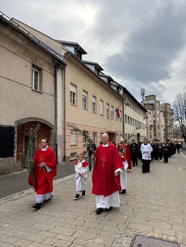 Biskup Medo na Cvjetnicu predvodio misno slavlje u gospićkoj Katedrali