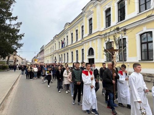 Biskup Medo na Cvjetnicu predvodio misno slavlje u gospićkoj Katedrali
