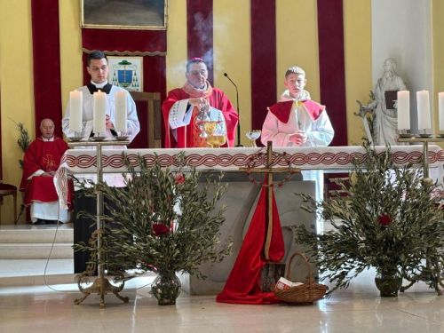 Biskup Medo na Cvjetnicu predvodio misno slavlje u gospićkoj Katedrali