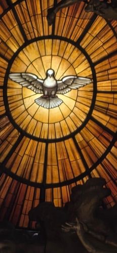 Vjernici Gospićko-senjske biskupije pohodili Vatikan drugog dana Zahvalnog hodočašća Vjernici Gospićko-senjske biskupije pohodili Vatikan drugog dana Zahvalnog hodočašća