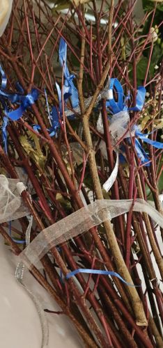 Svečana proslava blagdana sv. Nikole u Trnovcu Svečana proslava blagdana sv. Nikole u Trnovcu