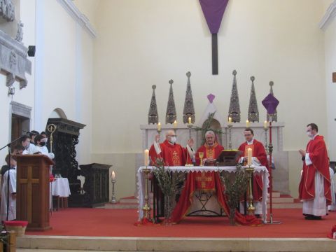 Gospićko-senjska biskupija - Biskup Križić na Cvjetnicu predvodio procesiju i misu u Senju